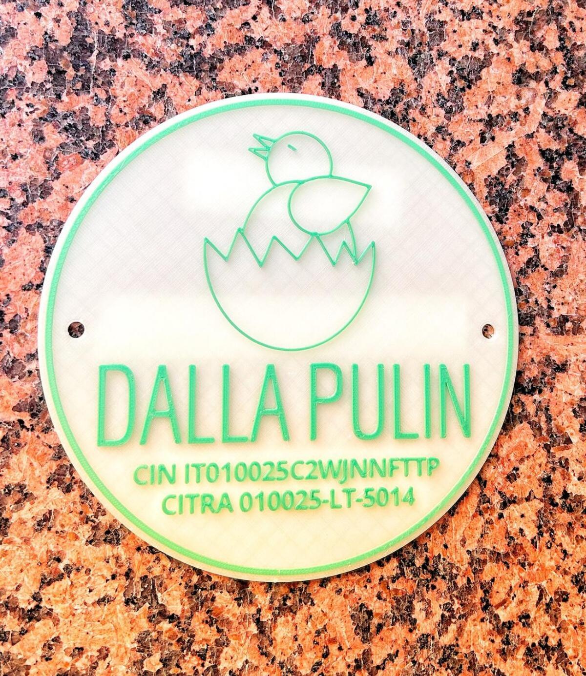 Dalla Pulin *